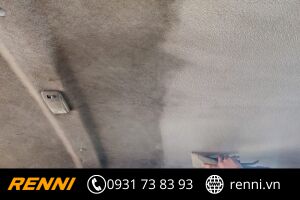 Kinh nghiệm vệ sinh trần xe ô tô đánh bay mọi vết bẩn cứng đầu