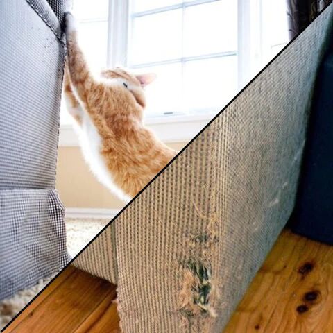 tình trạng sofa bị mèo cào thường