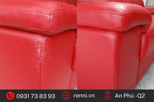 Bật mí các mẹo xử lý sofa bị mèo cào trầy xước, bong tróc hiệu quả